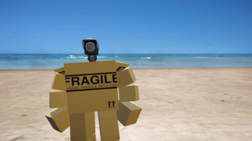 Box Cameraman Addon Ped