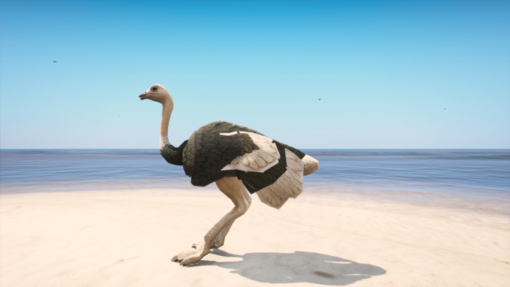 Ostrich Addon Ped